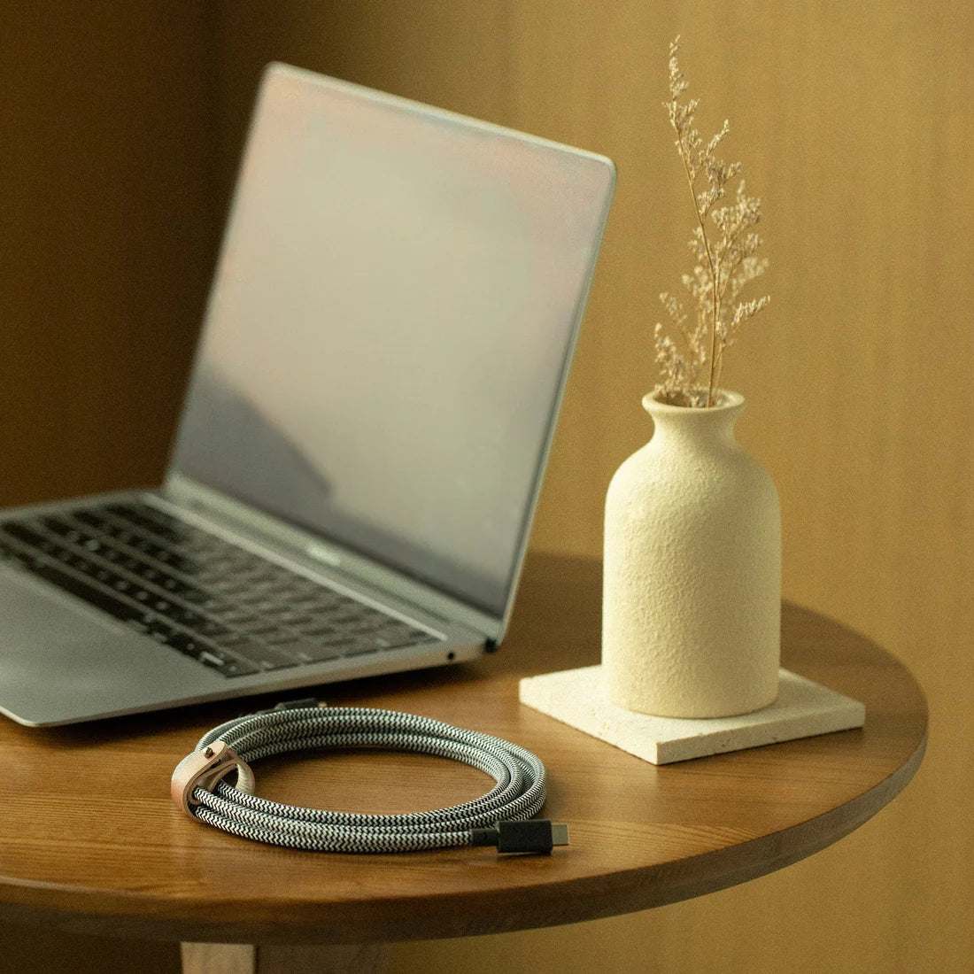 Belt Charging Cable XL Zebra (USB-C to USB-C & 3m)